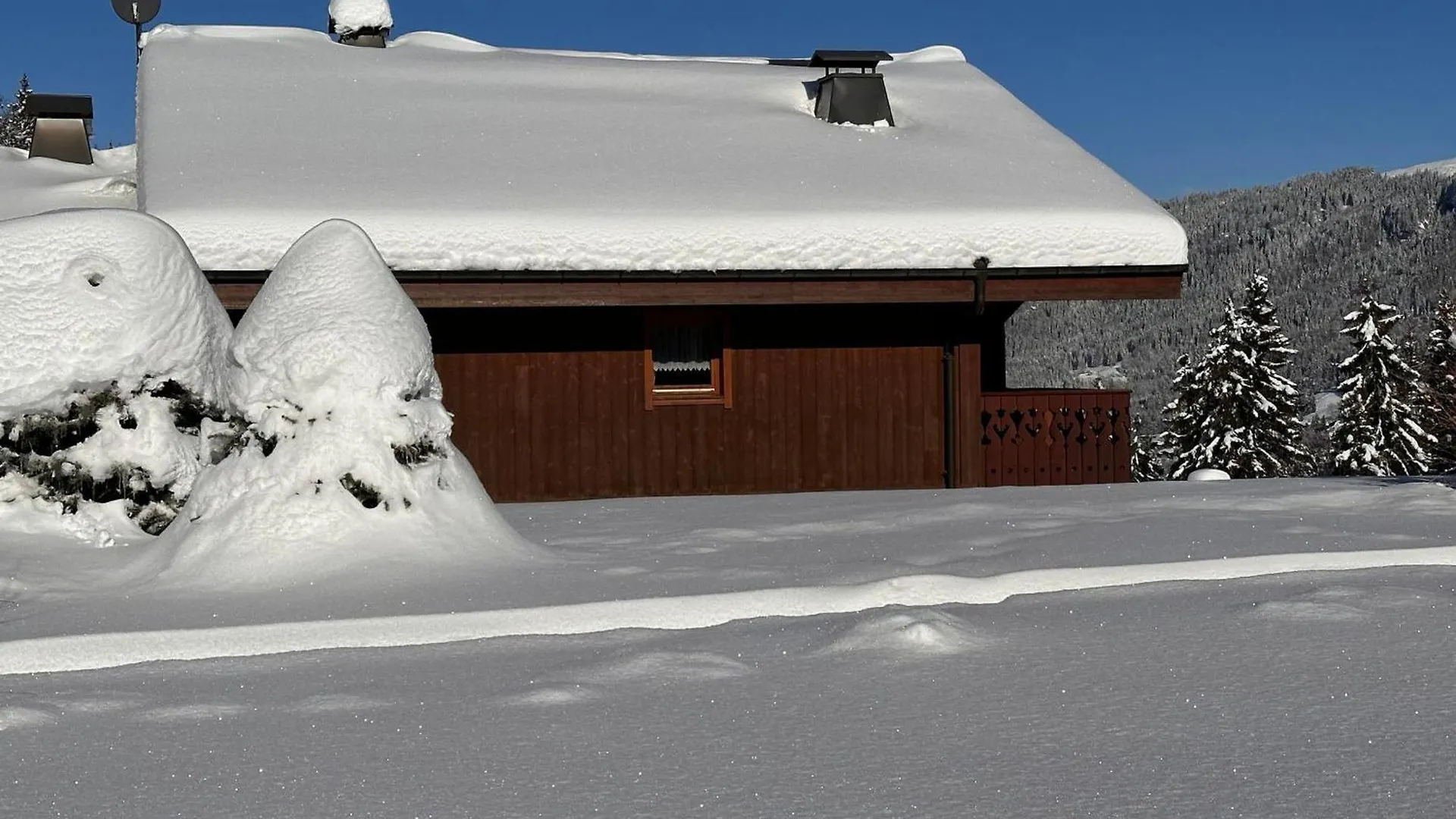 3 Pieces Cabine Avec Parking, Pres Des Pistes Et Commerces - Fr-1-572-55 Les Carroz d'Araches Apartment